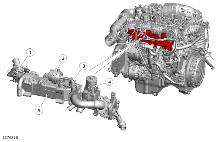 G14289476
