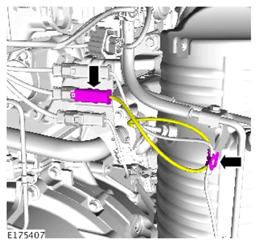 G14289579