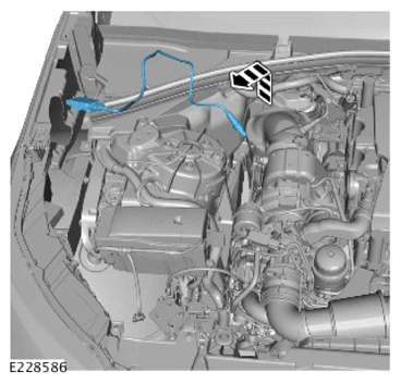 G14289615