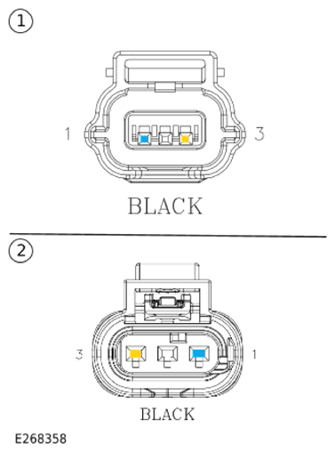 G14289618