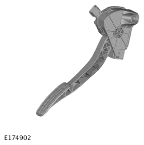 G14289831