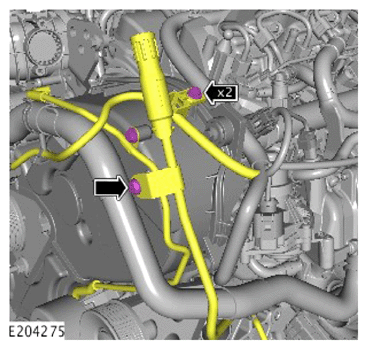 G14289856