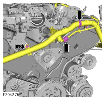G14289858