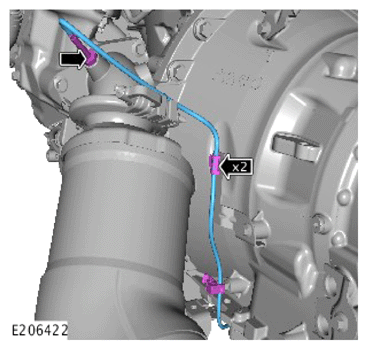 G14289969