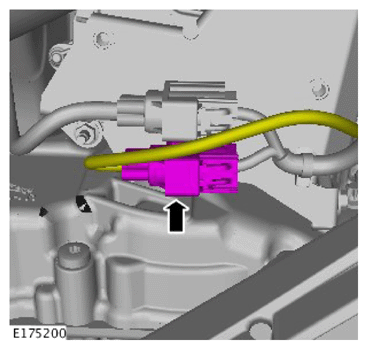 G14290264