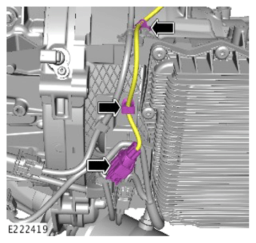 G14291532