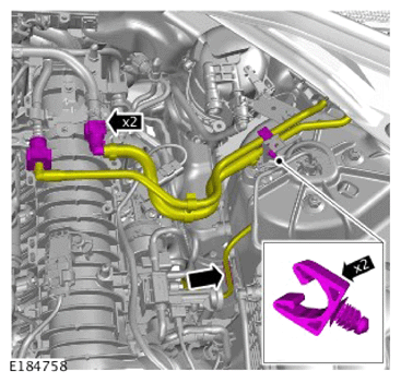 G14291660