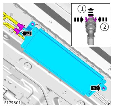 G14291671