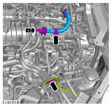 G14291687