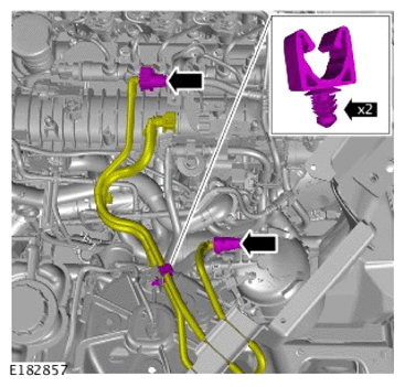 G14291688