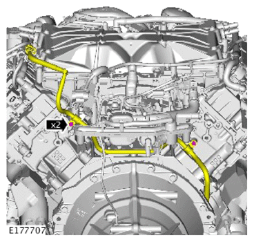 G14291832