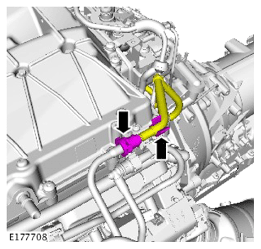 G14291834