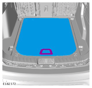 G14292696
