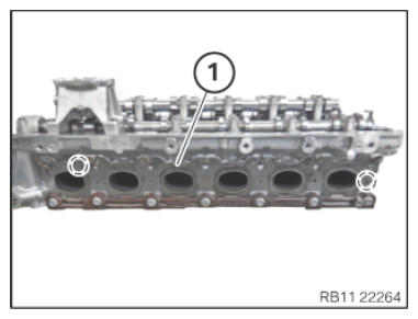G14294596