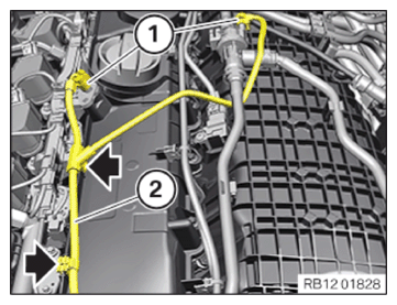 G14298116
