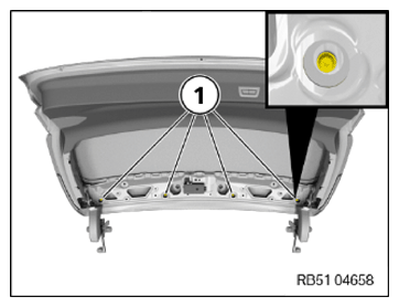 G14316491