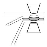 G14346099