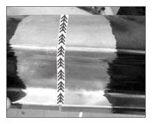 G14360064