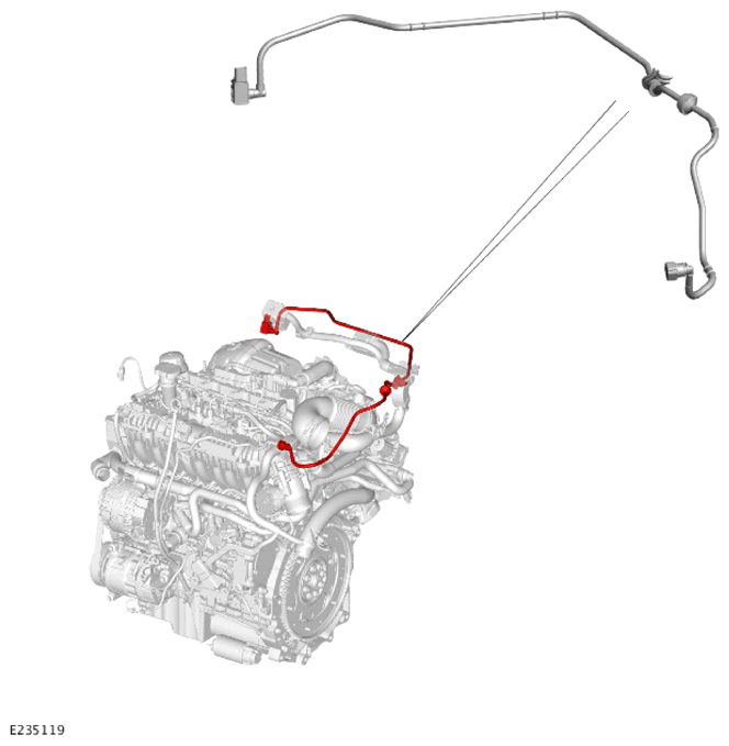 G14428334