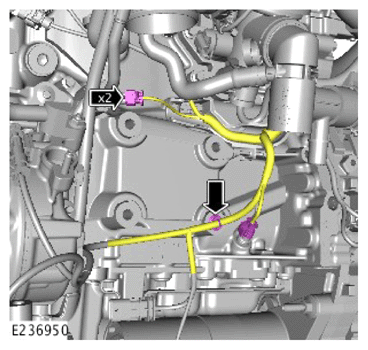G14429780