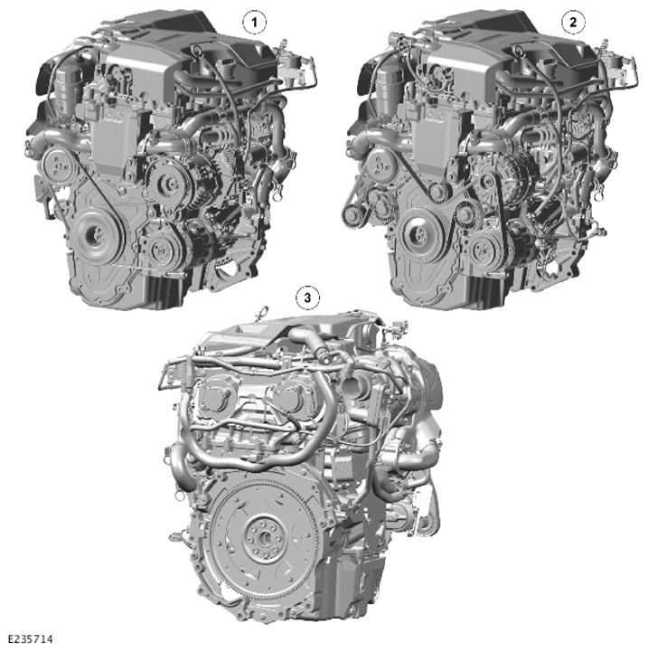 G14430638