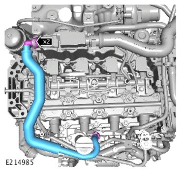 G14431198