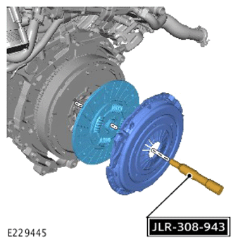 G14453631