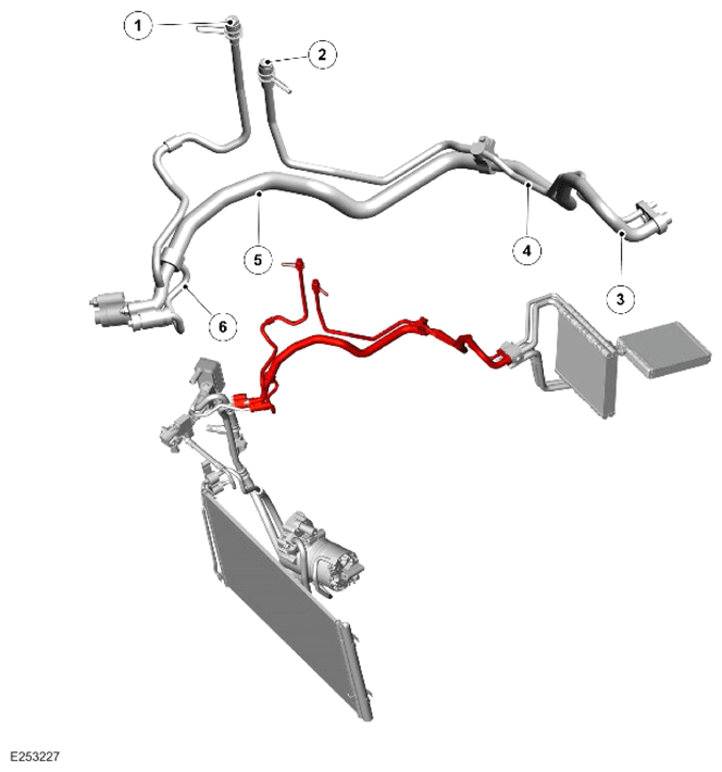 G14453794