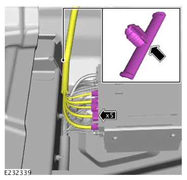 G14455702