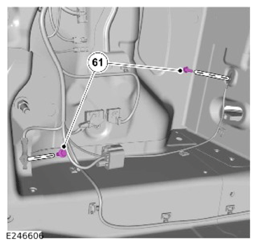 G14456157