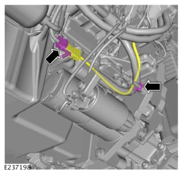 G14456246