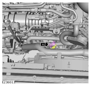 G14456256