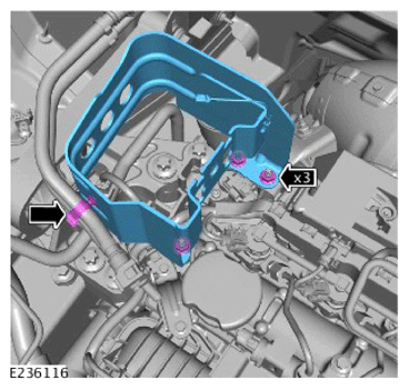 G14456258