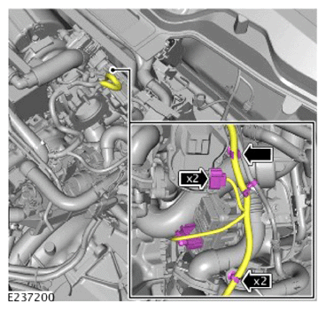 G14456270