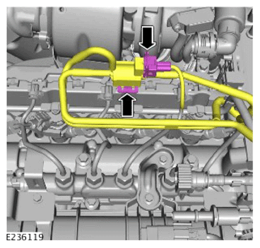 G14456296