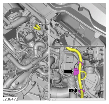 G14456302