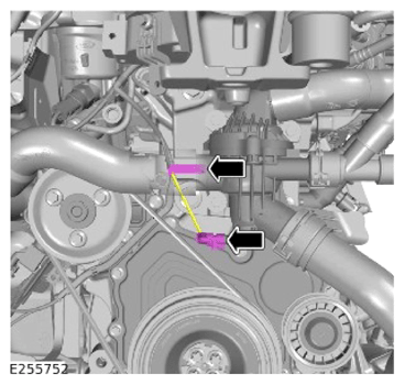 G14456364