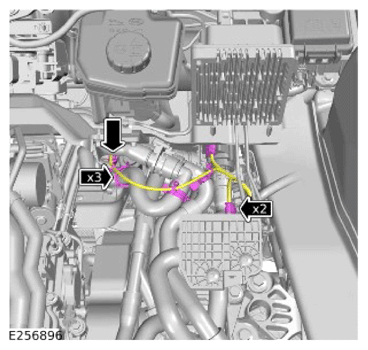 G14456390