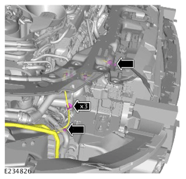 G14456394
