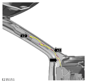 G14456398