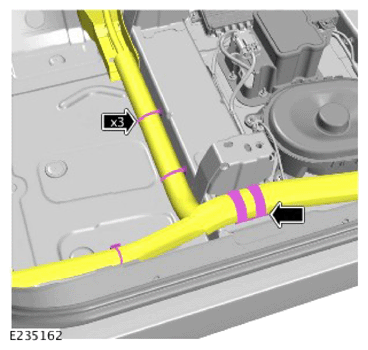 G14456404