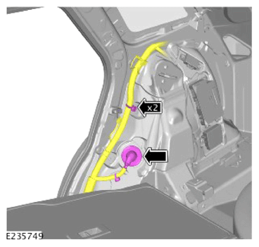 G14456453