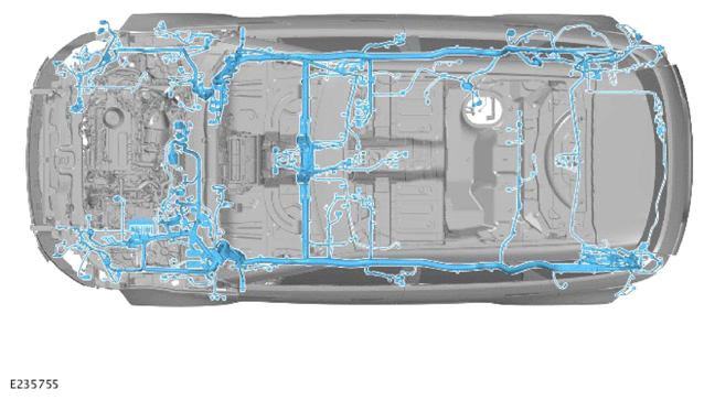 G14456460