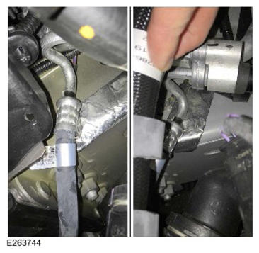 G14457688
