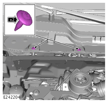 G14457754