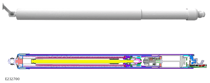 G14457779