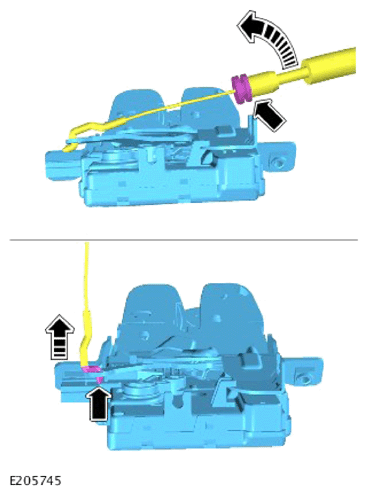 G14457865