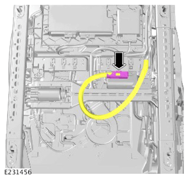 G14458306
