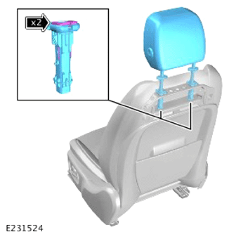 G14458329