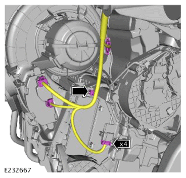 G14458681